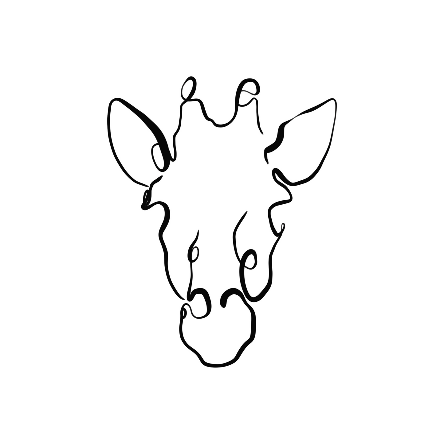 Safari Giraffe