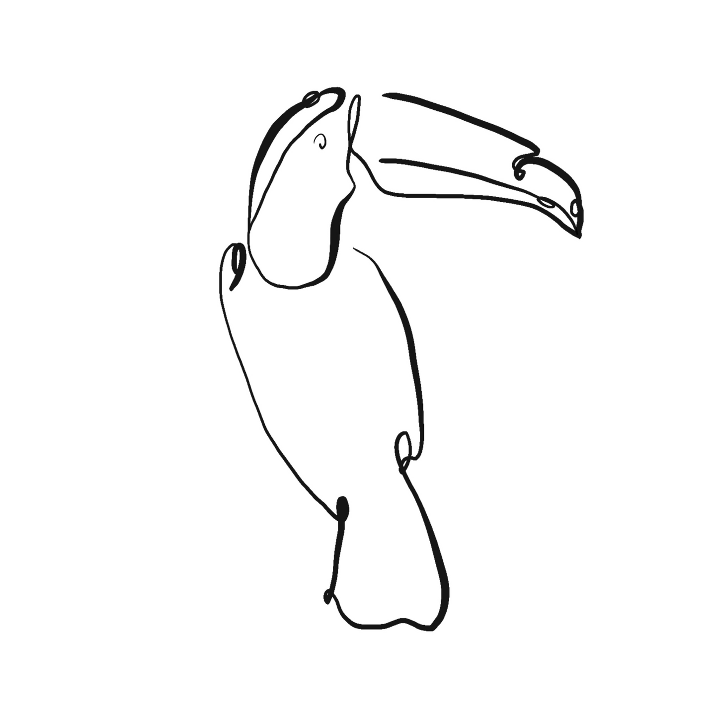 Safari Toucan