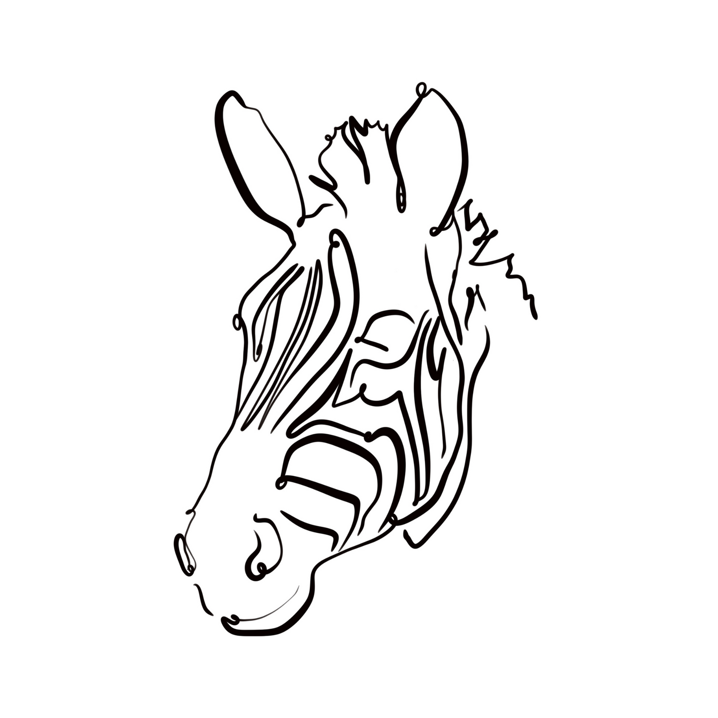 Safari Zebra