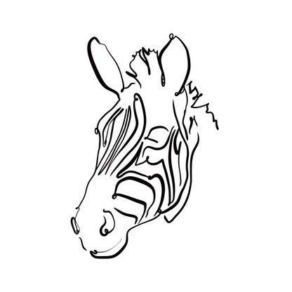 Safari Zebra